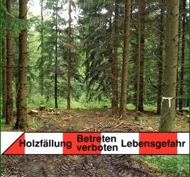 Achtung Baum fällt – Sicherheit bei Holzfällarbeiten